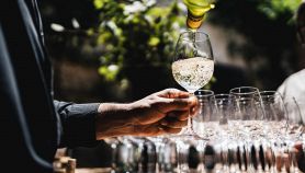 Del vino bianco viene versato da un cameriere nel calice di un ospite ad un evento