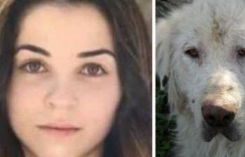 Ragazza sbranata dai cani ecco i risultati dell'autopsia. Non erano randagi