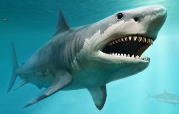 Attacchi di squali spaventosi apparsi dal nulla! Mettiti in salvo!