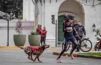 Inseguito da un cane, maratoneta perde la gara in Argentina