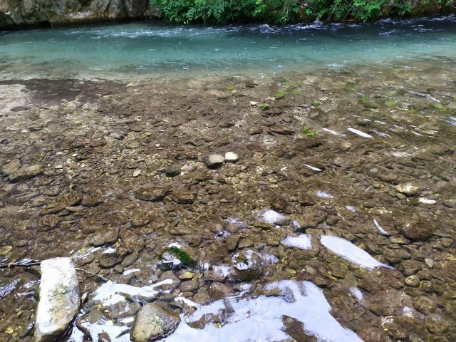 Liquida Apnea