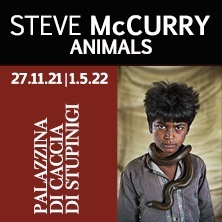 Steve McCurry - Animals
