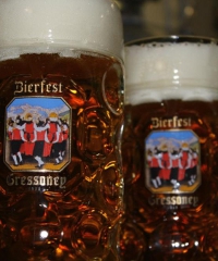 Bierfest, la festa della Birra