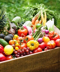 I mercati agricoli della Cuccagna 2024: prodotti bio, sostenibili e sani
