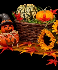 Speciale Halloween 2025: