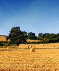 Agrinatura 2026, the rural show