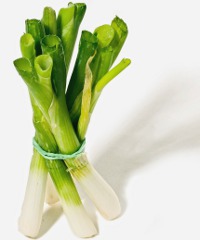 Fiera del Porro 2025