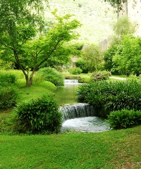Vivi il Verde: giardini di ieri e giardino di oggi