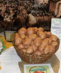 Bodi Fest, a Monterosso Grana si celebra la patata