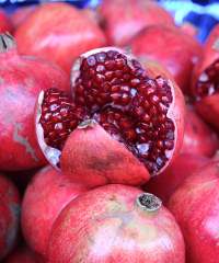 Frutti Antichi, piante, fiori e frutti dimenticati 2026