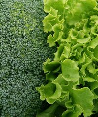 Mercatino di Campagna Amica a San Donato Milanese - Via Cesare Battisti 2, San Donato Milanese (MI) - Un'ottima occasione per acquistare direttamente dai produttori i migliori prodotti del territorio Ogni sabato mattina in via Libertà diventa area pedo...