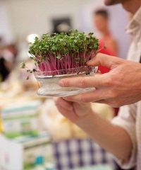 Officinalia 2025, la mostra mercato dell'alimentazione biologica - Piazza Vittorio Veneto, Belgioioso (PV) - Il bio è buono e fa bene Officinalia è la prima manifestazione italiana nell'ambito del biologico ed è diventata nel tempo riferimento per gli amanti...