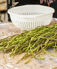 Festa del Bruscandolo - Via dei Marta, Resana (TV) - Edizione 2025
Torna la Sagra a San Marco di Resana con la Festa del Bruscandolo. Il Bruscandolo è il germoglio primaverile del luppolo e per...