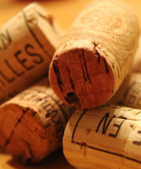 Avvinando Wine Fest 2025 a Palermo - Via Paolo Gili 4, Palermo (PA) - X edizione
Torna Avvinando Wine Fest, allo Spazio Tre Navate dei Cantieri Culturali alla Zisa di Palermo. Un'occasione ghiotta per tutti i w...