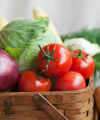 Mercato Contadino dei Castelli Romani a Roma Capannelle