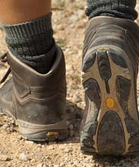 Festa dei Camminanti