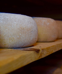 Formaggio in Villa a Cittadella