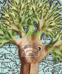 Insubria Festival 2026: tre giorni di musica, energia e atmosfere celtiche dal vivo