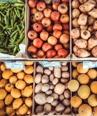 mercatini a alba scopri programma e calendario