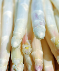 Mostra Mercato dell’Asparago Bianco di Cimadolmo IGP