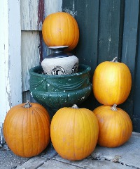 Festa delle Zucche e delle Castagne