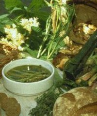 Festa dell'asparago di bosco, del radicchio di montagna e dei funghi di primavera