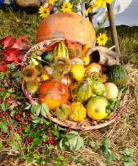 Colori e Sapori d'Autunno