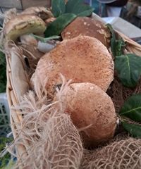 Il Buono in Tavola: in via Ansperto a Milano tornano le bontà di stagione - Via Ansperto 7, Milano (MI) - Mercatino contadino con le tipicità dei produttori delle fattorie lombarde Il Buono in Tavola torna con la produzione agricola lombarda a chilometro z...