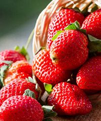 Festa della Fragola 2025 - Strada Spinagallo 52, Siracusa (SR) - Il peccato è... non mangiarla! La prelibata fragola di Cassibile è la protagonista indiscussa della suggestiva “Festa” a lei dedicata, all’Ippodromo d...
