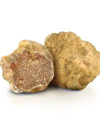 Mostra Mercato del Tartufo Bianco e dei prodotti agroalimentari
