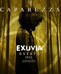 Caparezza torna in concerto live a Napoli