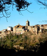Pellegrinaggio di San Vivenzio - Piazza Santa Maria, Blera (VT) - Passeggiata tra luoghi suggestivi Il pellegrinaggio (2 volte l'anno: lunedì di Pasqua e seconda domenica di maggio) consiste in una passeggiata di 25...