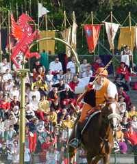 Corsa all'Anello di Narni, il gusto di vivere la storia - Piazza dei Priori 3, Narni (TR) - 57^ edizione
			
				La manifestazione ripropone i momenti salienti in cui, al tempo, ogni giovane narnese proprietario di un cavallo veniva chiamat...