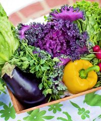 Mercato agroalimentare "Naturalmente Lavariano" - Piazza Giuseppe Verdi, Mortegliano (UD) - Il mercato a chilometri zero, bio e doc Il secondo sabato del mese in piazza S. Paolino a Lavariano, il mercato agroalimentare intende promuovere la v...