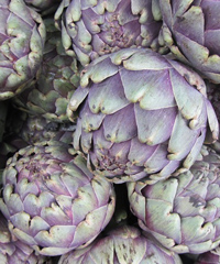 Sagra del Carciofo Romanesco a Ladispoli: una nuova e gustosa edizione