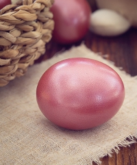 Pasqua a Misano Adriatico 2026, mercatini e spettacoli