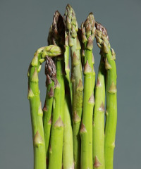 Sagra dell'asparago a Calabritto