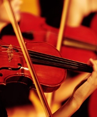 La musica dei cieli 2026, la rassegna che porta concerti nelle chiese di Milano e provincia
