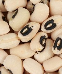 I fasulin de l'oc cun le cudeghe 2026, tra gusto e tradizione
