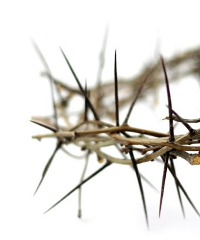 Processione del Cristo Morto 2026