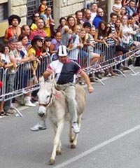 Palio dei Ciuchi di Roccastrada