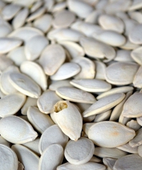 Di Fiore in Zucca 2026