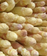 Festa dell’Asparago Bianco di Cimadolmo IGP