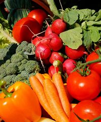 Campagna Amica, i buoni prodotti della terra - Via Andrea Palladio, Occhiobello (RO) - Appuntamento a Occhiobello I sapori e i profumi della campagna arrivano in città con i Mercati di Campagna Amica, iniziativa di Coldiretti che dà la p...