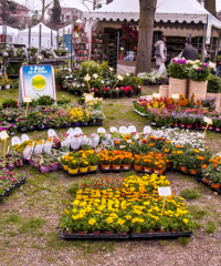 Ortoflora e Natura 2026, torna la mostra-mercato