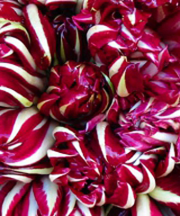 Festa del radicchio rosso di Dosson