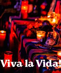 Viva la Vida 2026, torna a Bologna il festival di cultura messicana