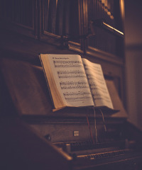 Festival Organistico Internazionale di Senigallia