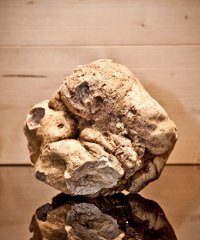 Fiera internazionale del tartufo bianco d'Alba 2025