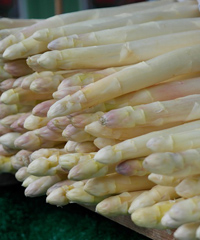 Asparagorgo: Sagra degli asparagi di Gorgo